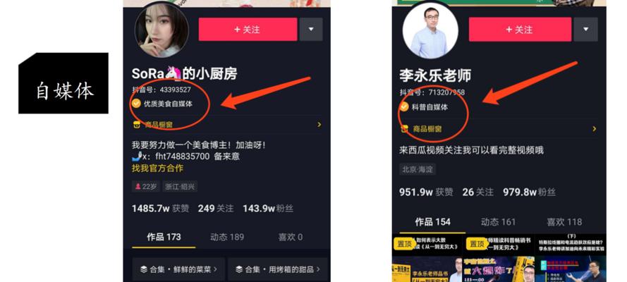 抖音一百万点赞收益揭秘(拍视频也能赚钱) 抖音一百万点赞收益揭秘(拍视频也能赚钱)